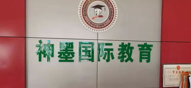 校外培訓機構整治工作有喜有憂，文化藝術交流活動策劃如何助力教育生態優化